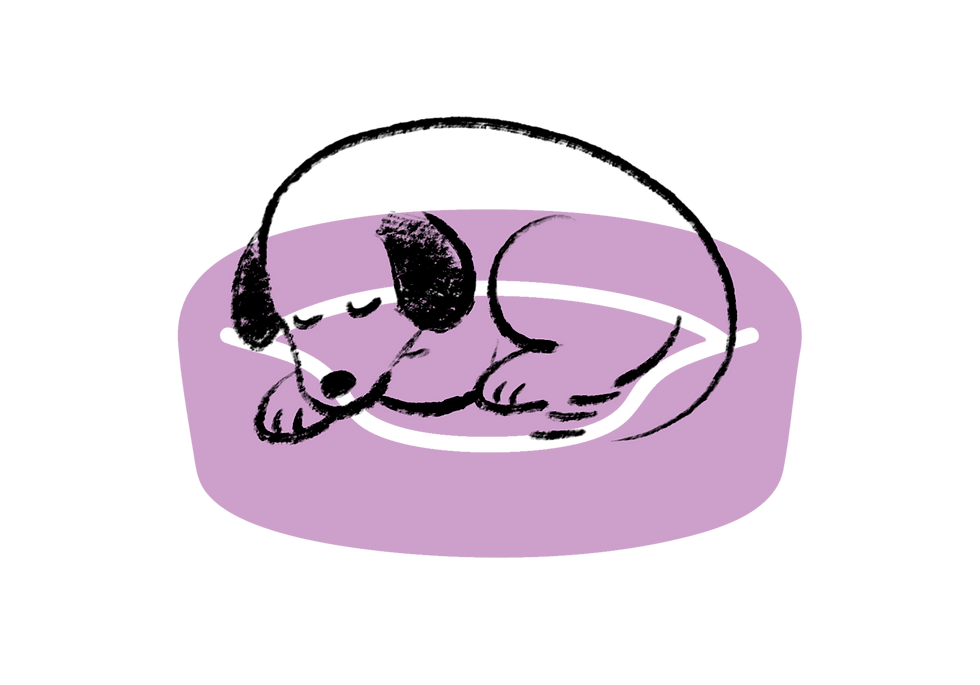 Dogbed.png
