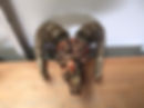 skull1