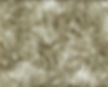 fur1