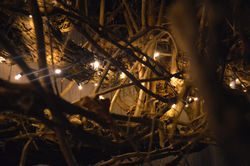 Private Exterior Lighting Project