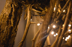 Private Exterior Lighting Project