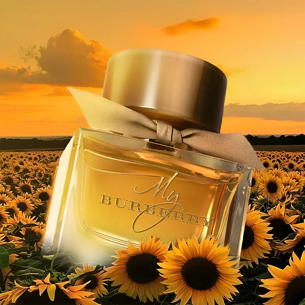 My Burberry Eau de Parfum