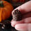 Thumbnail: 1:12 Scale Halloween Cake With Chocolate Skulls