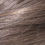 Thumbnail: Brown