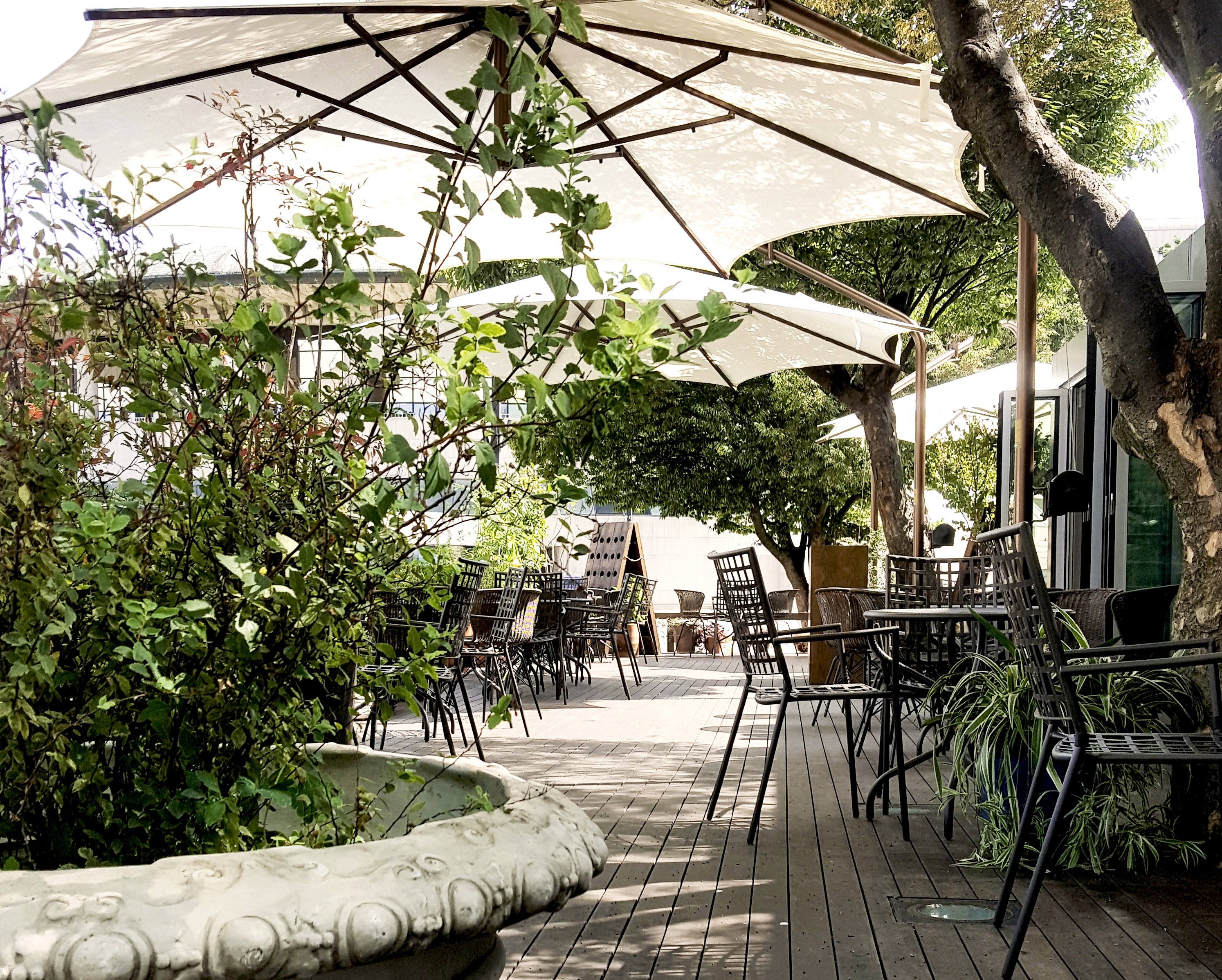 Cafe Mozart 502