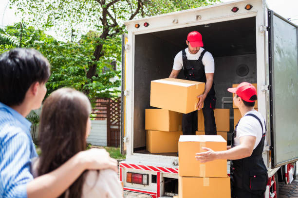 Professional Hauling Services