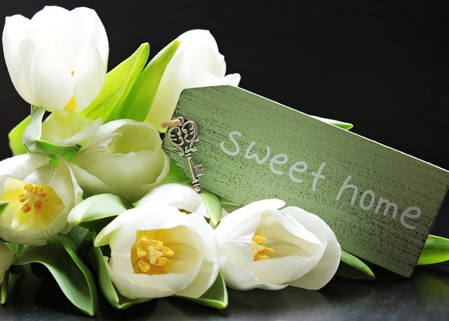 Tulips Home Sweet Home Sign