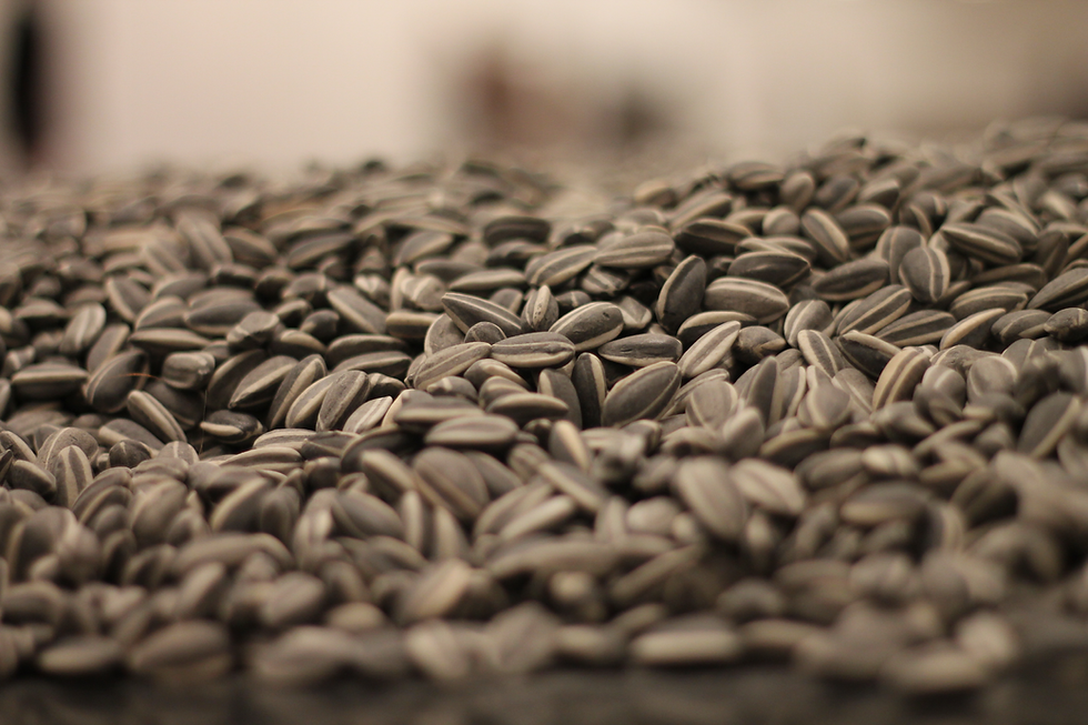 Ai Weiwei, Sunflower Seeds, Tate Modern. Photography: Daring Donna form Wikipedia.com.