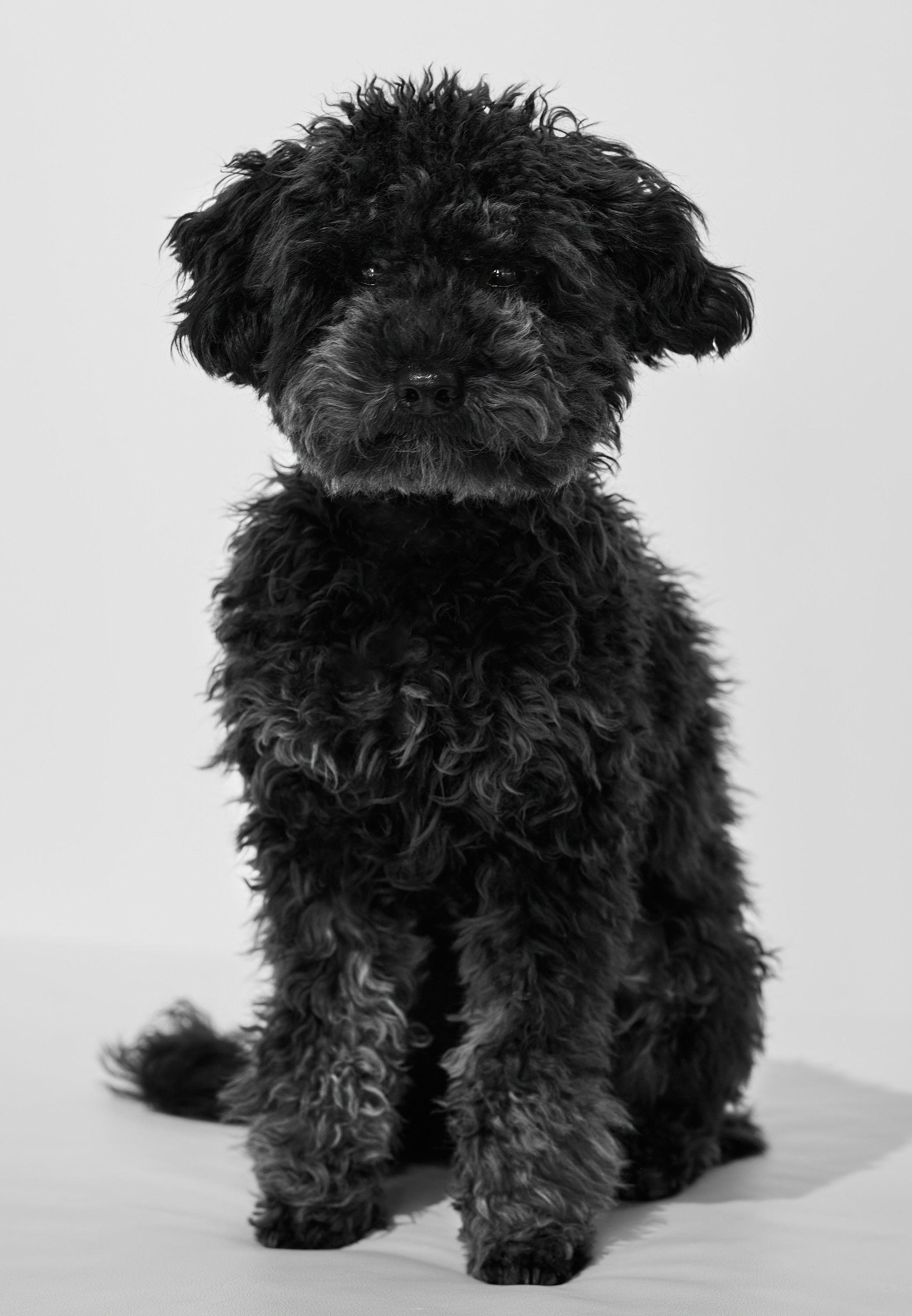 Paul Kyle Gallery | Team Members | Rothko