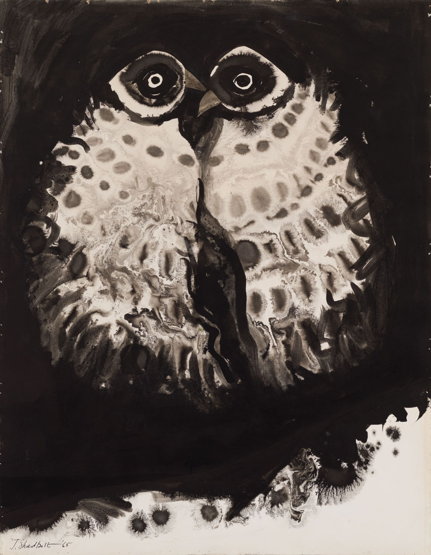 Jack Shadbolt, Bird #11, 1965, Ink on paper, 25 x 19 1/4 in. Work available.