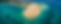 20170201-DJI_0368-Pano.jpg