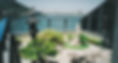 LAGOA_edited.jpg