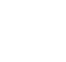 White logo - no background.png