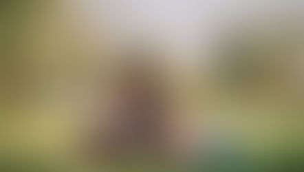 maminka s dětmi na louce