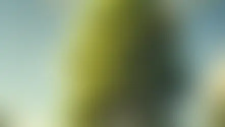 Jak na jarní alergie?