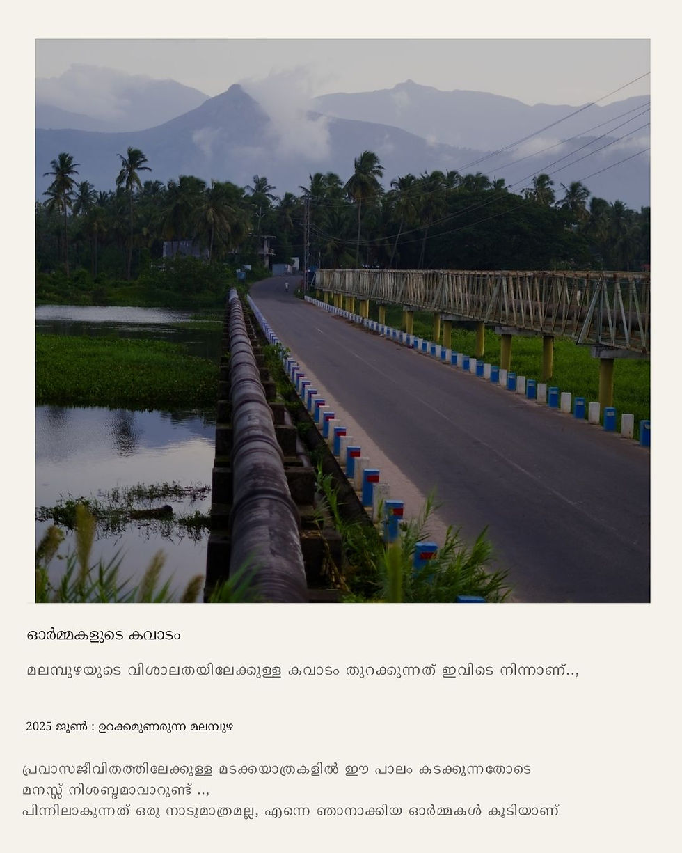 ഓർമകളുടെ കവാടം (3).jpg