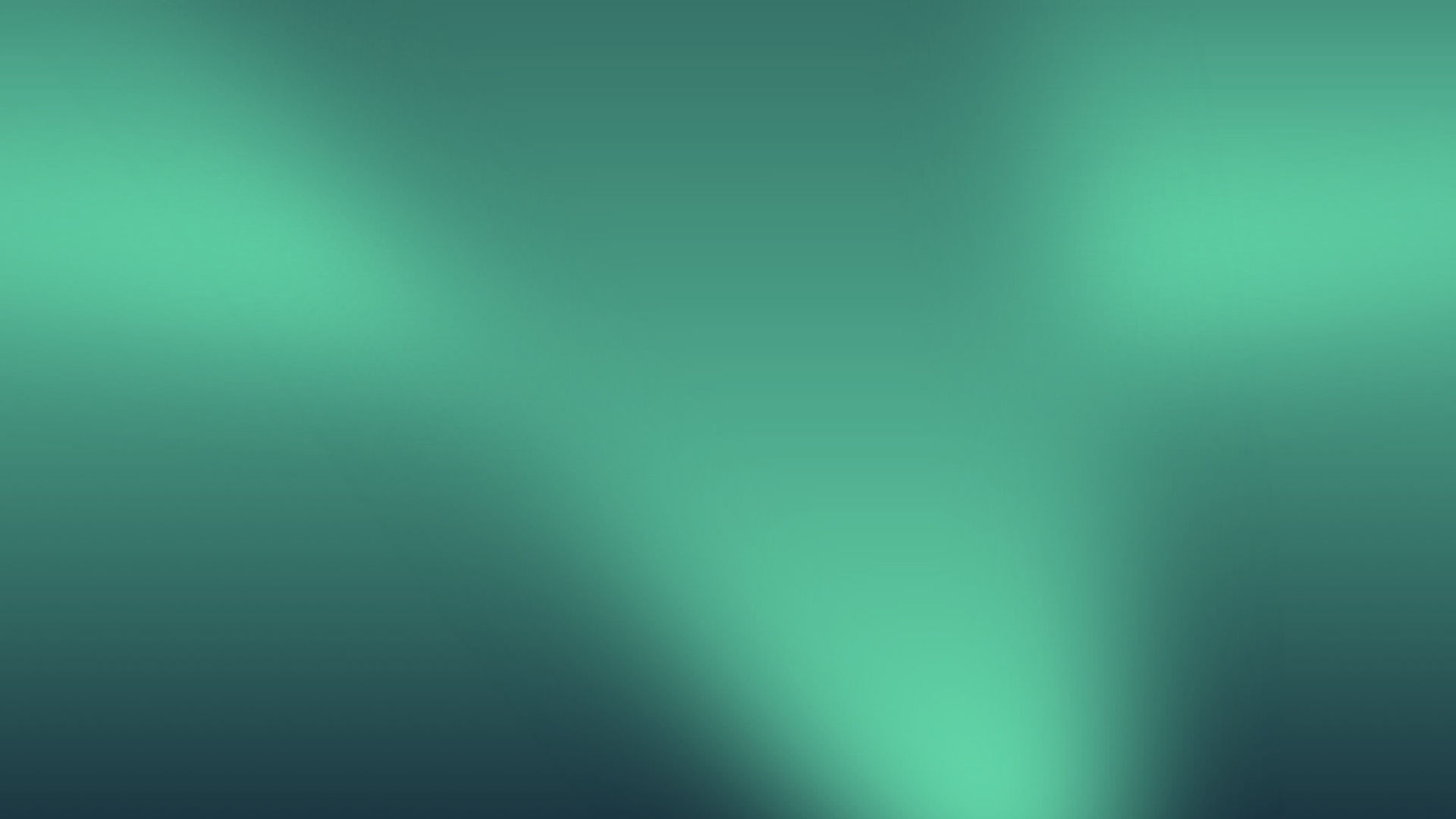 HollyHaven Dog Boarding & Daycare Dog Party 50 Griggs St NE