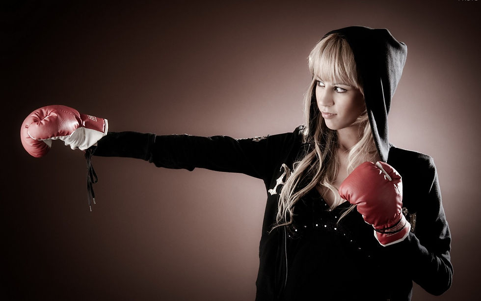 MMA pads and shields