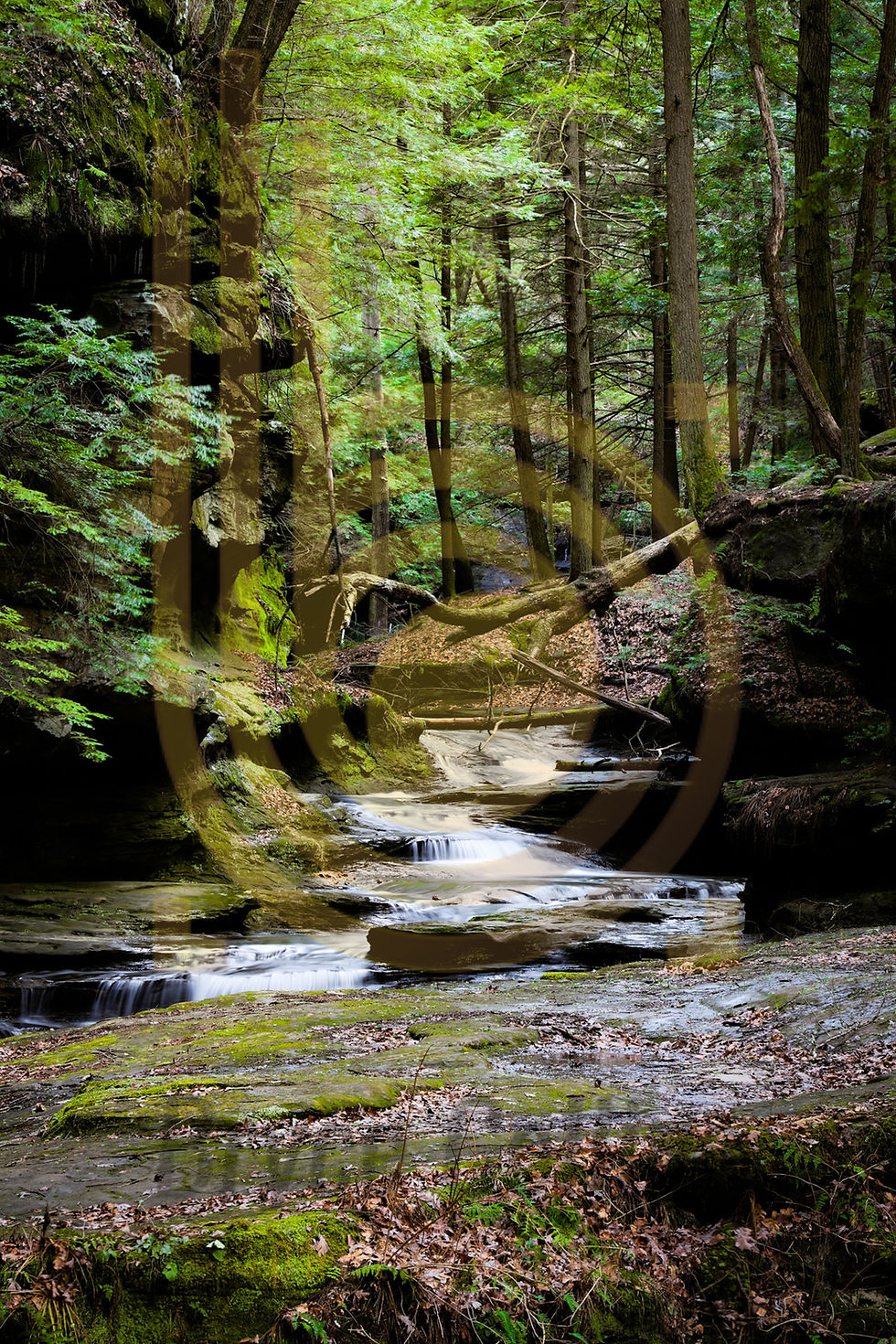 Hocking Hills Photo