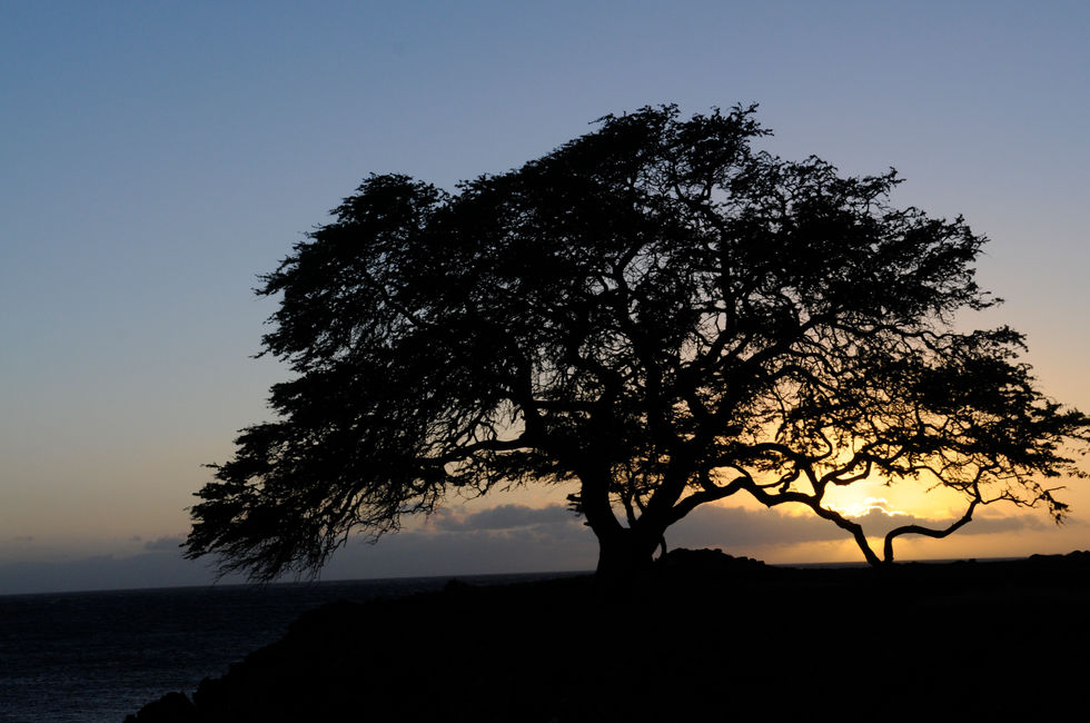 hawaii 3 074