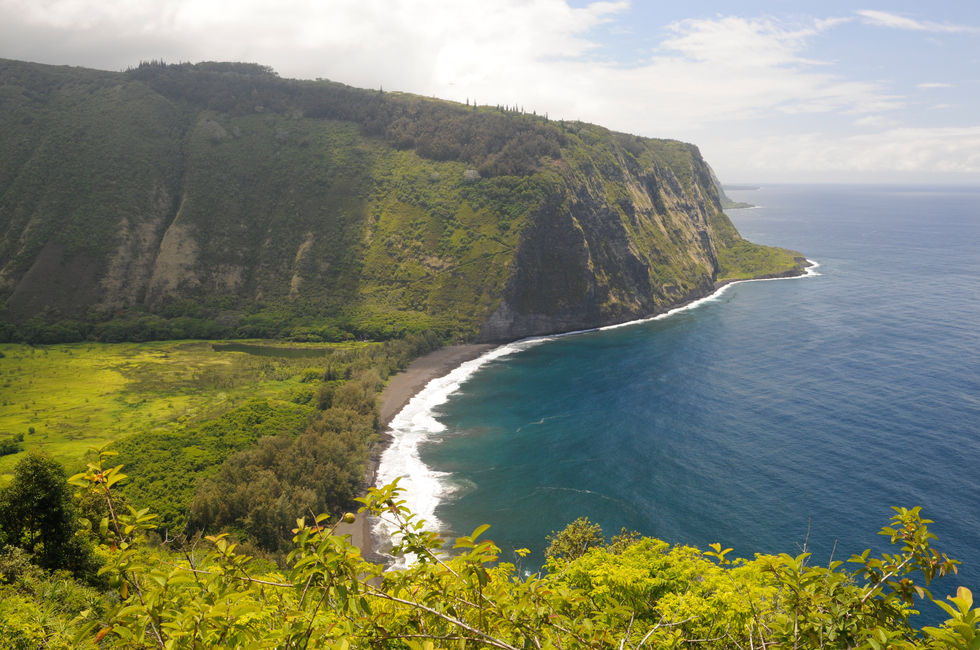 Hawaii 1 256