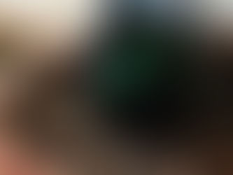 Nest in the making...