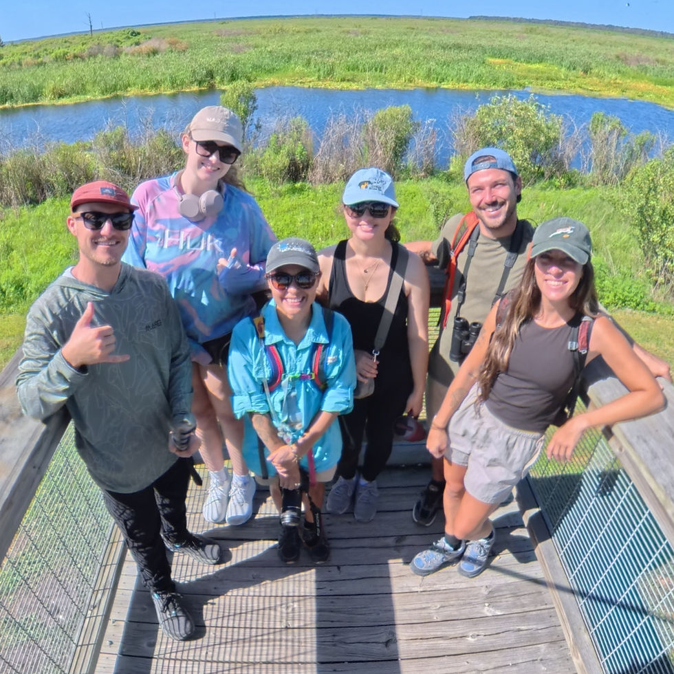 Sweetwater Wetlands Park