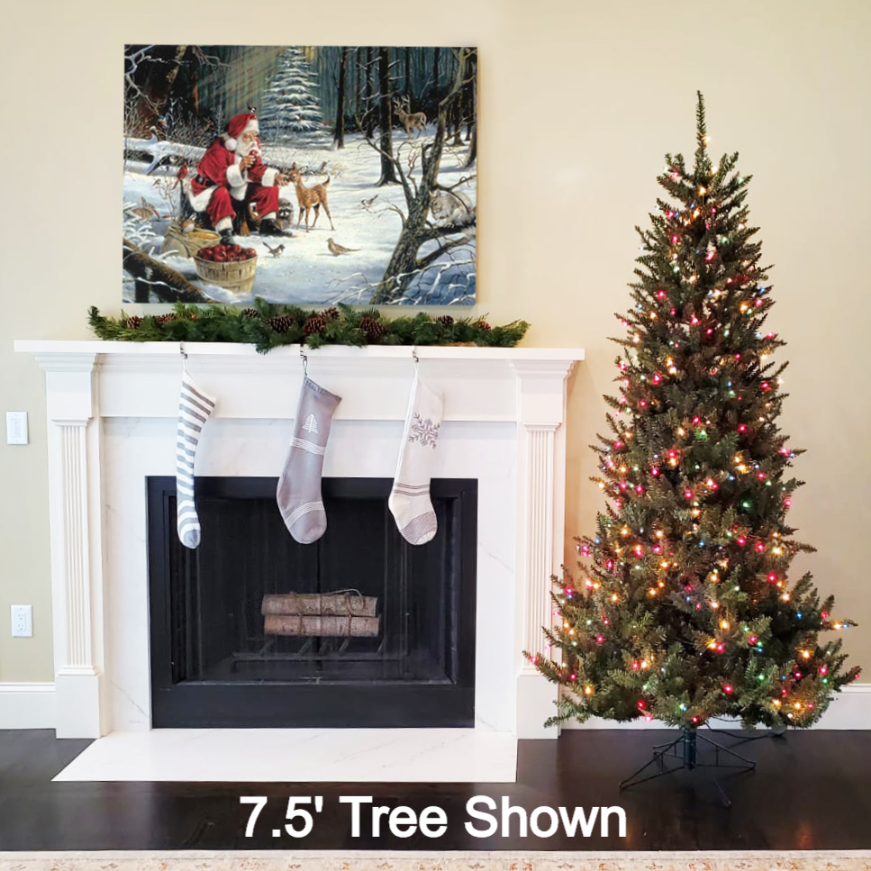 Home Abington Christmas Place