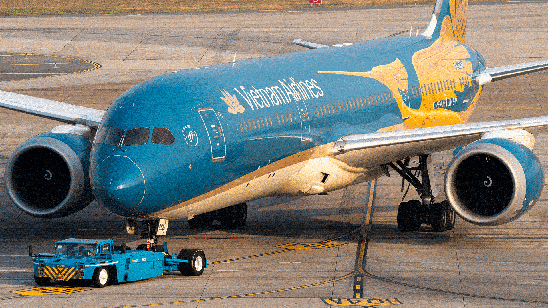 Livery_Taxiing.gif