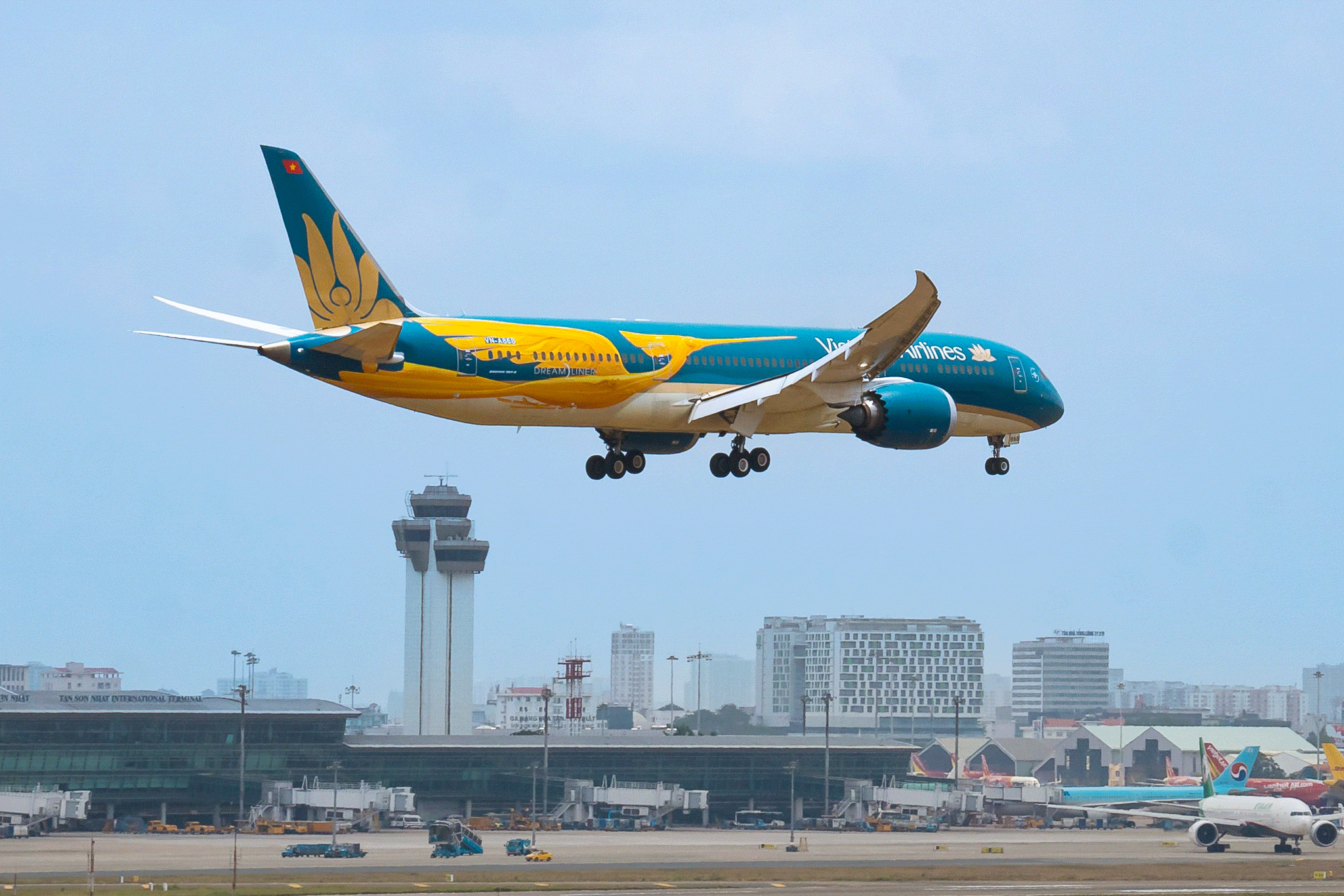 Livery_1.gif
