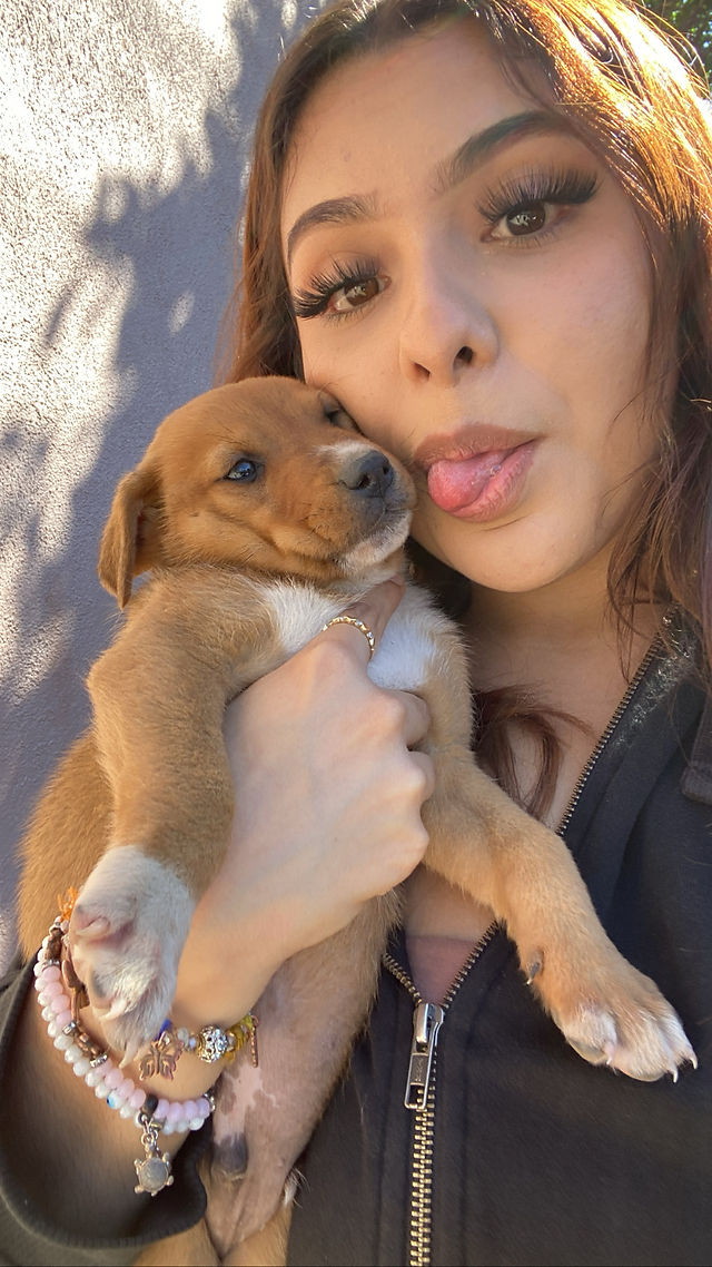 My friend Juan's puppy!