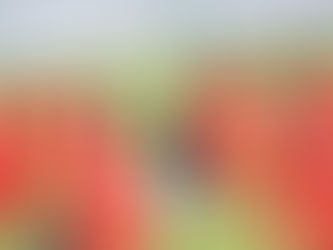 Soi kèo Oman - Việt Nam tại vòng loại World Cup (12/10)