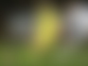 Soi kèo Southampton và Brentford lúc 02:45 ngày 12/01