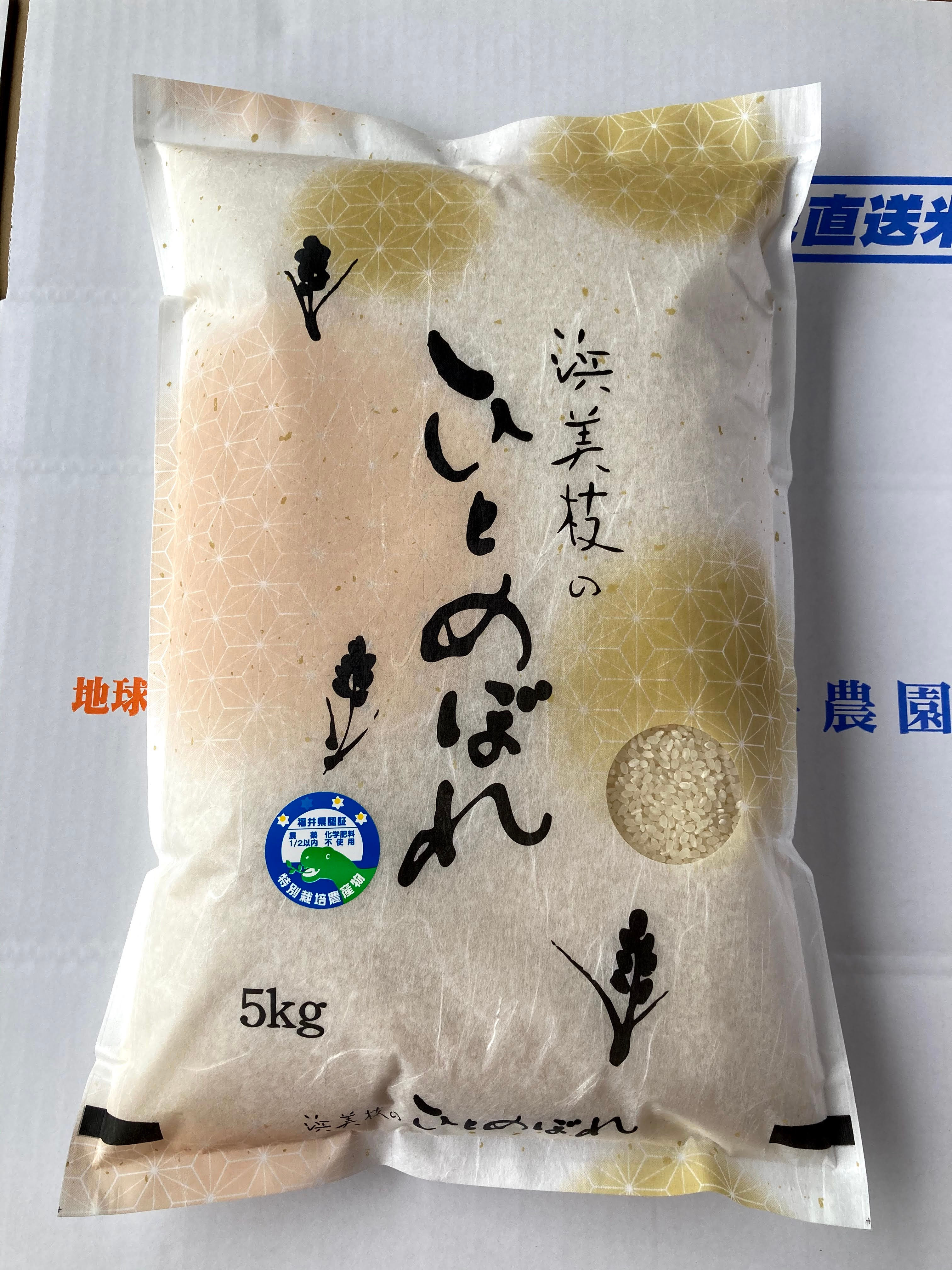 浜美枝さんのひとめぼれ