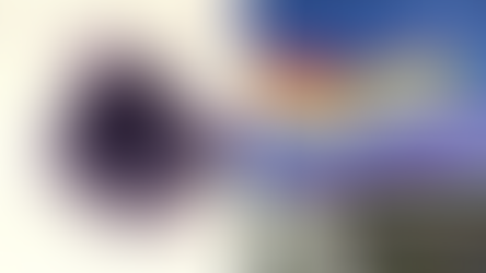 A buzihimlő járványgócává válhat a Pride, tiltsák be!