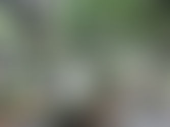 दिल्ली में कब्रिस्तान में दफनाने के लिए जगह पड़ने लगी कम