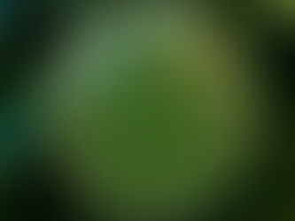 कोटा में आज एक और कोरोना पॉजिटिव पाया गया