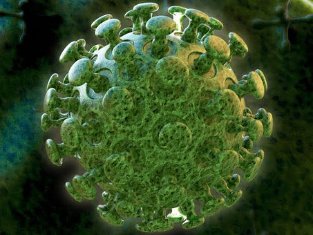 राजस्थान में 152 नए मरीजों के साथ अब तक कुल 6894 संक्रमित