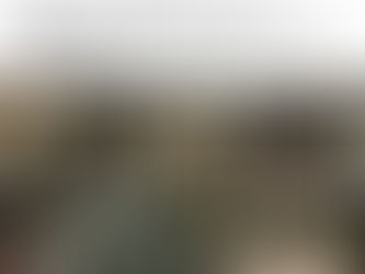 बूंदी में ऑनलाइन शराब की बिक्री के नाम पर ठगी