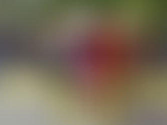 सरकार मजदूरों को मारेगी और रोने भी नहीं देगी भा.म.स.