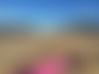 Quem corre precisa fazer treino de força?