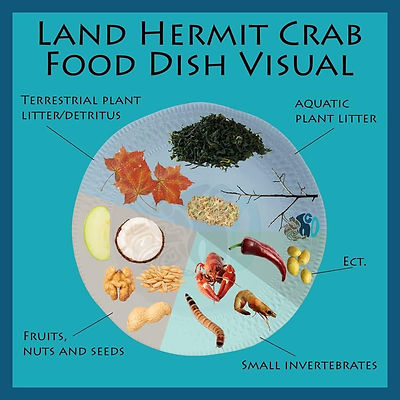 HCO Food Chart Visual_edited.jpg