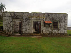 11011205_1163379227024733_405464450983915257_n