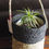 Thumbnail: Accessory: Sabai-reed planter in natural and brown