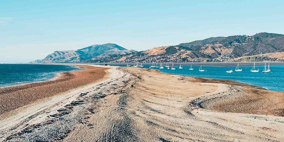 Overlooking the Boulder Bank, Nelson