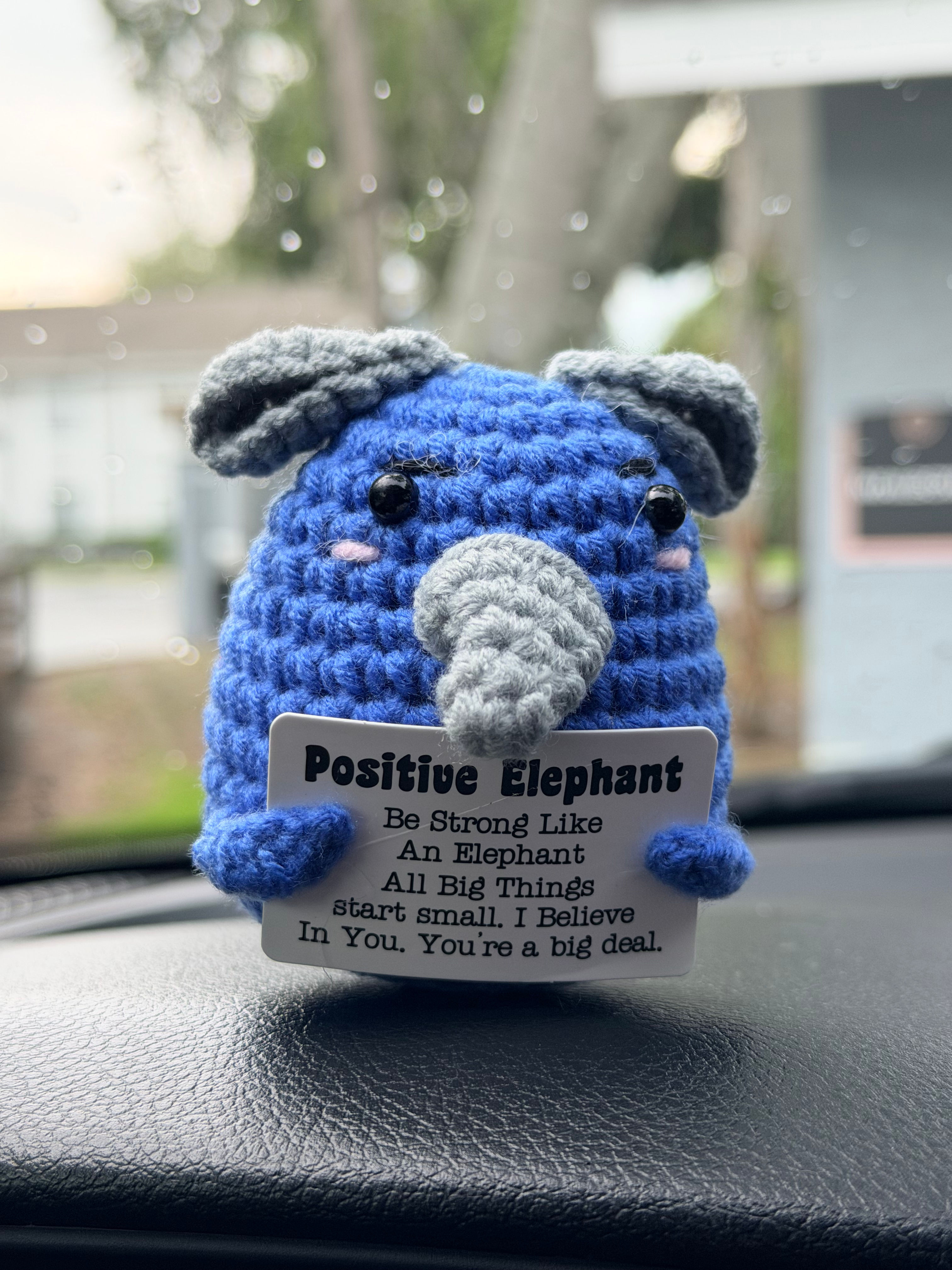 Moti Mate Elephant