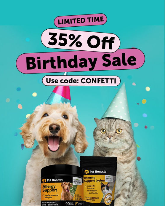 C11_BirthdayPromo_V2-4x5