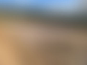 Our terrain as at 11 March 2026