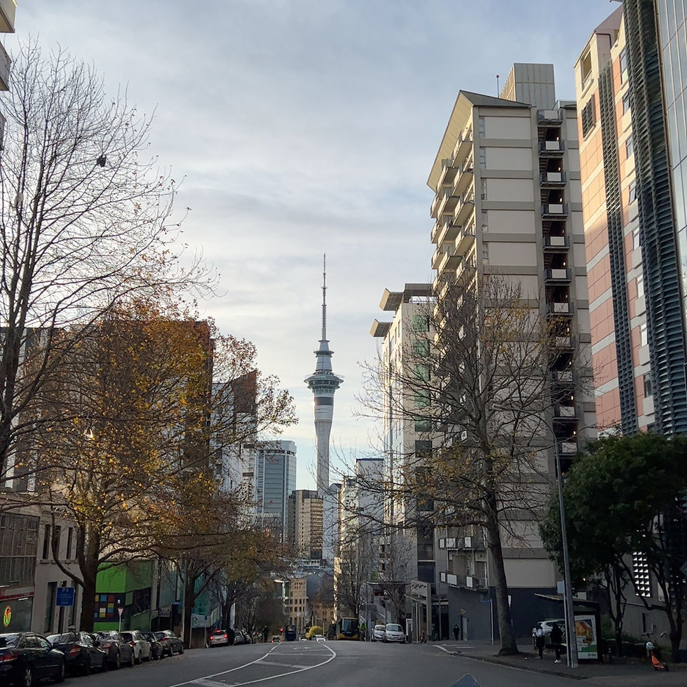 Overview of Auckland street, buildings, and famous Sky Tower at the center