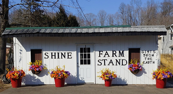 shine farm stand